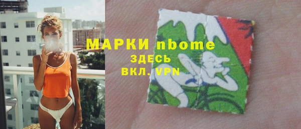 индика Арсеньев