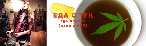 индика Арсеньев