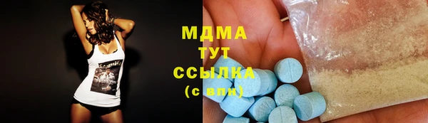 индика Арсеньев