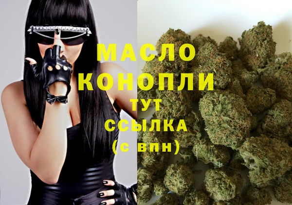 индика Арсеньев